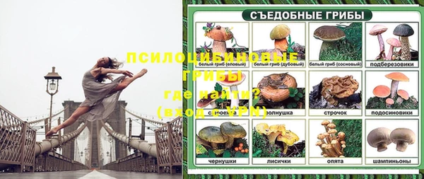 мяу мяу мука Армянск