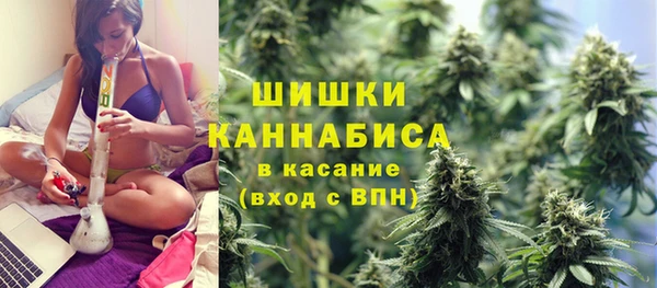 дмт Вяземский